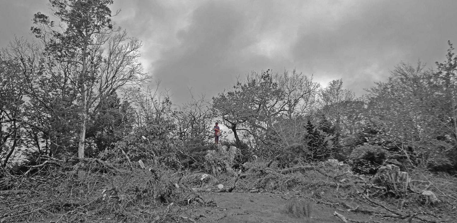 Tree Spec tree surgeon at work among heavy branches on a job site